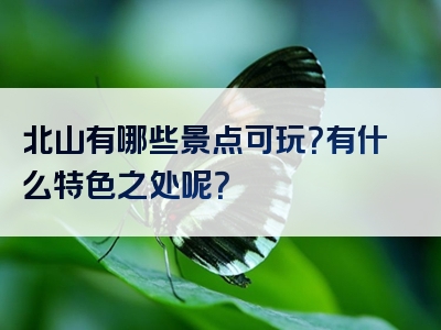 北山有哪些景点可玩？有什么特色之处呢？