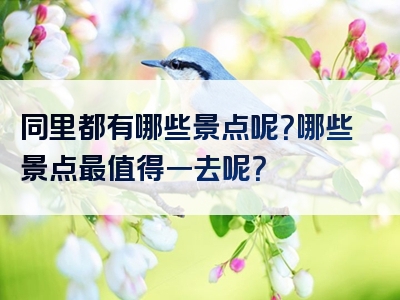 同里都有哪些景点呢？哪些景点最值得一去呢？