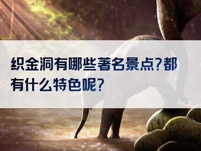 织金洞有哪些著名景点？都有什么特色呢？