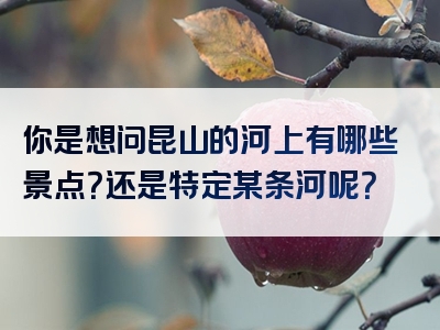 你是想问昆山的河上有哪些景点？还是特定某条河呢？