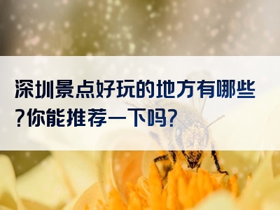 深圳景点好玩的地方有哪些？你能推荐一下吗？