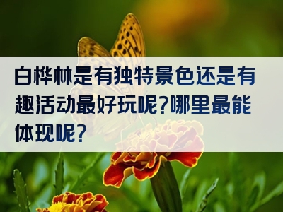 白桦林是有独特景色还是有趣活动最好玩呢？哪里最能体现呢？