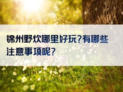 锦州野炊哪里好玩？有哪些注意事项呢？