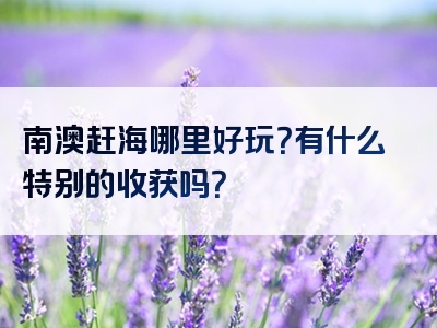 南澳赶海哪里好玩？有什么特别的收获吗？