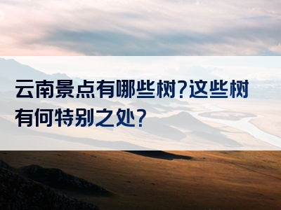 云南景点有哪些树？这些树有何特别之处？