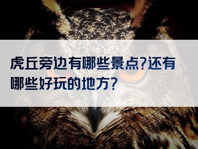 虎丘旁边有哪些景点？还有哪些好玩的地方？