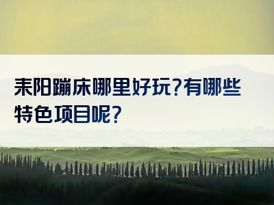 耒阳蹦床哪里好玩？有哪些特色项目呢？