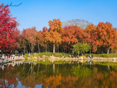 天平山有哪些景点？这些景点有何特色呢？