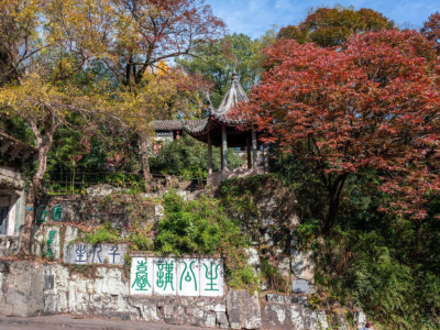 虎丘山附近有哪些景点？有什么特色之处呢？